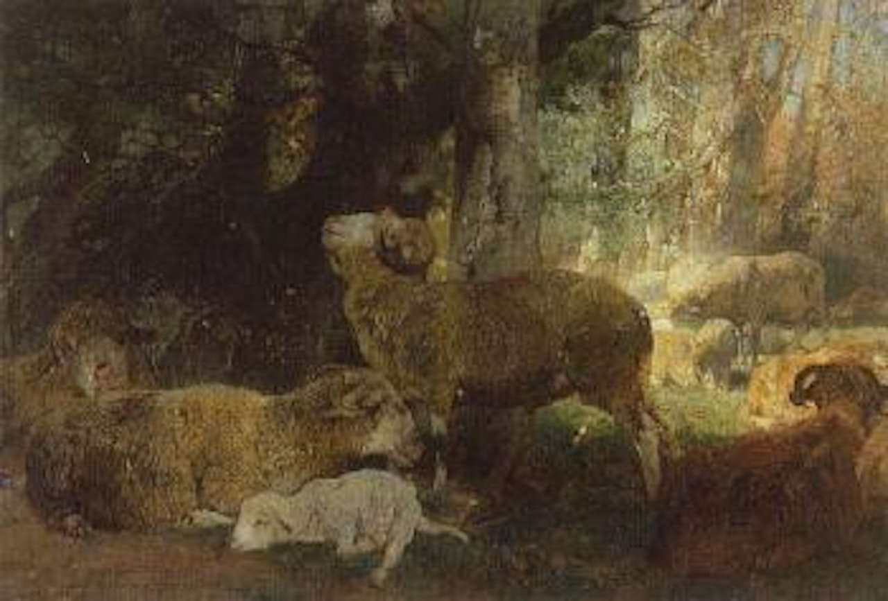 Sheep under trees by Heinrich von Zugel