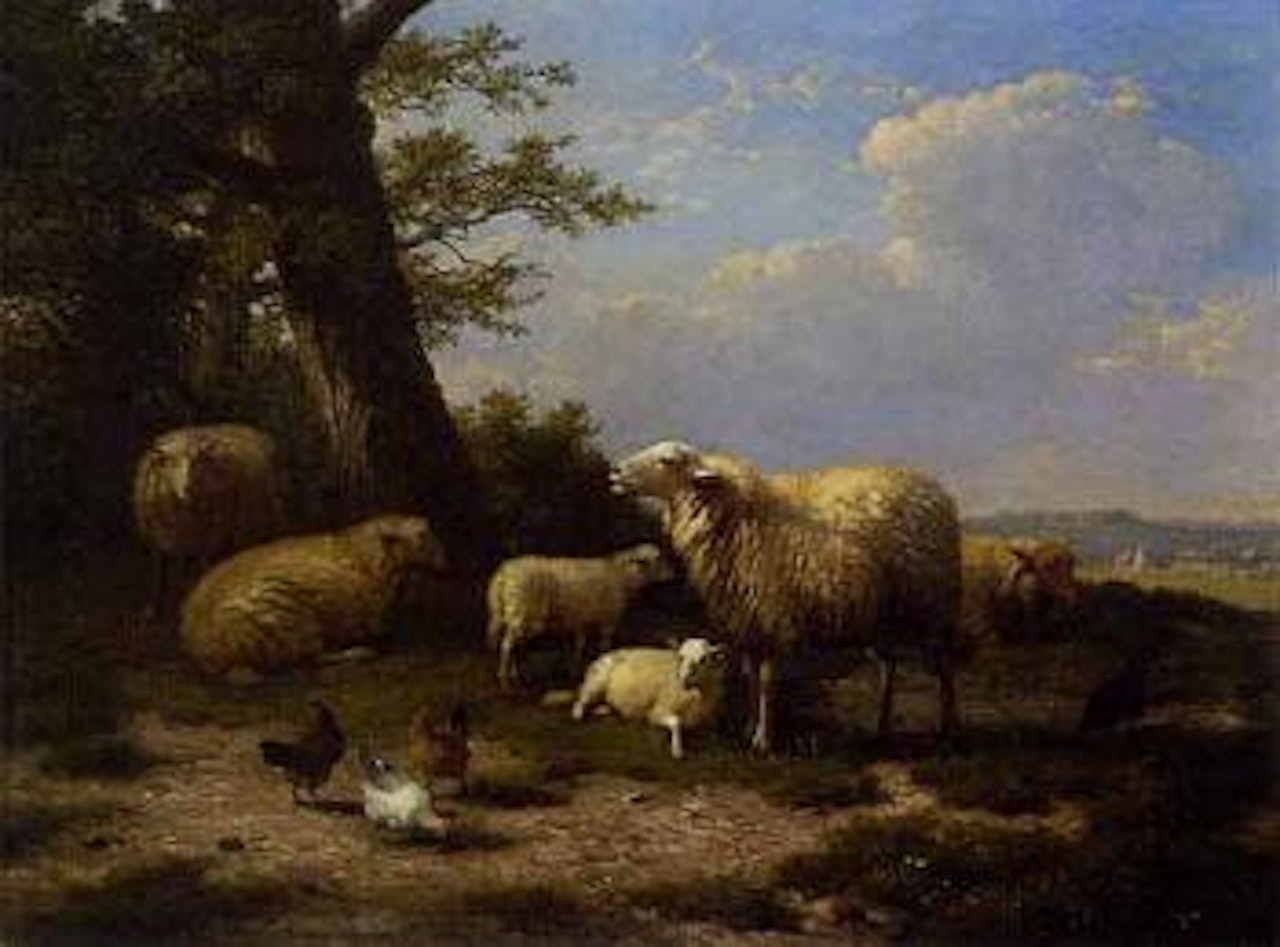 Sheep resting with chickens by tree by Eugène Joseph Verboeckhoven