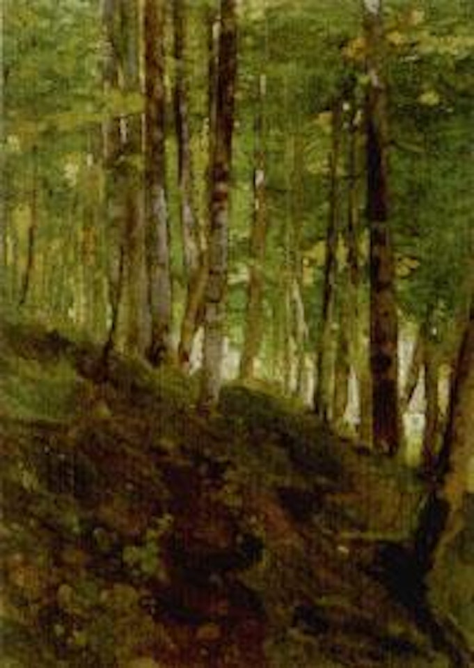 Wooded landscape by Guglielmo Ciardi