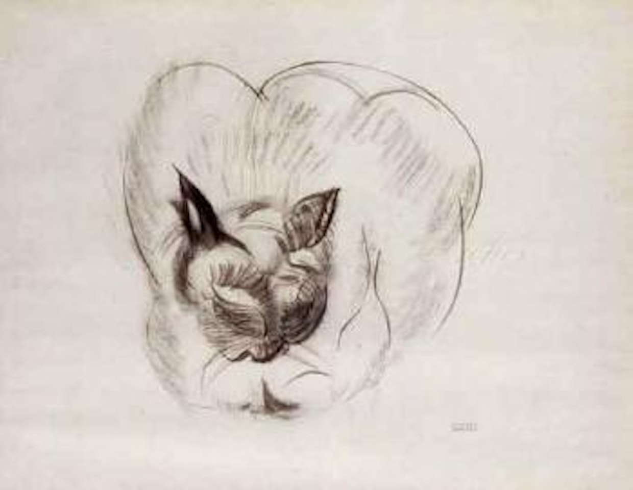 Le chat by Raoul Dufy
