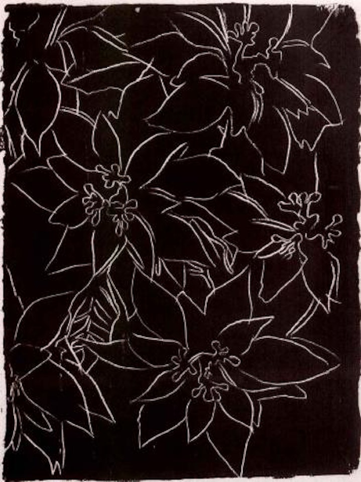 Poinsettias by Andy Warhol