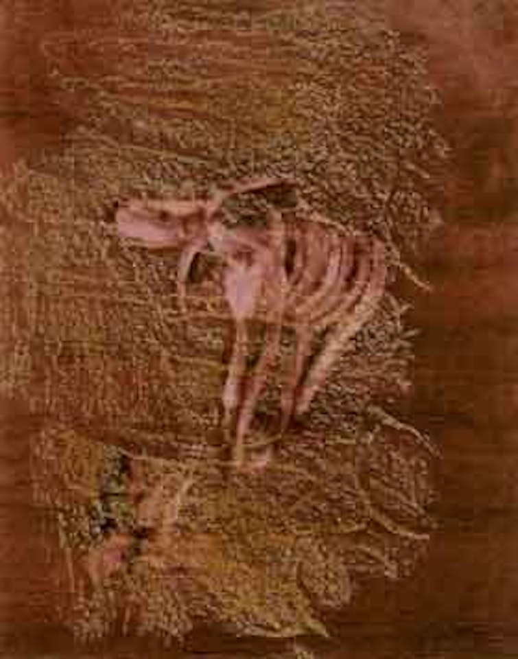 Drought by Sidney Nolan