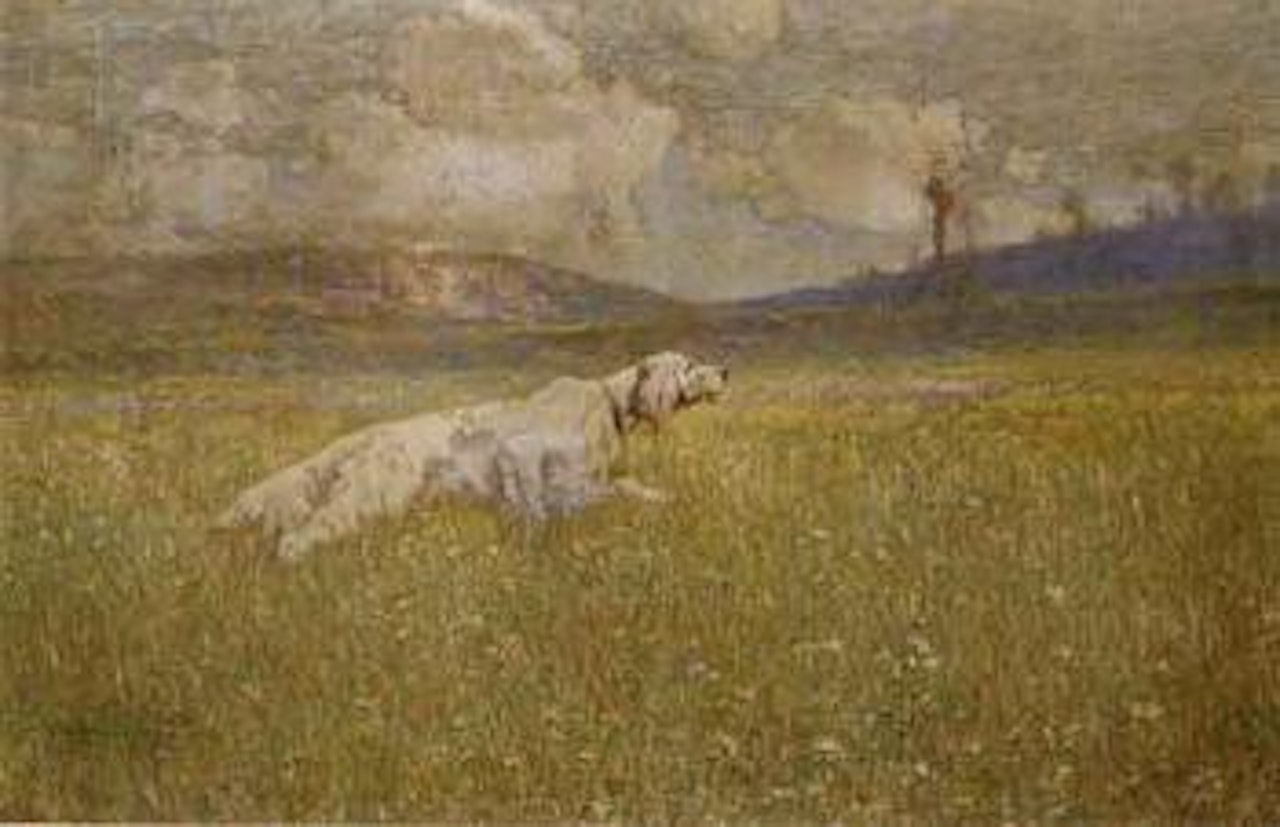 Hound by Cesare Bentivoglio