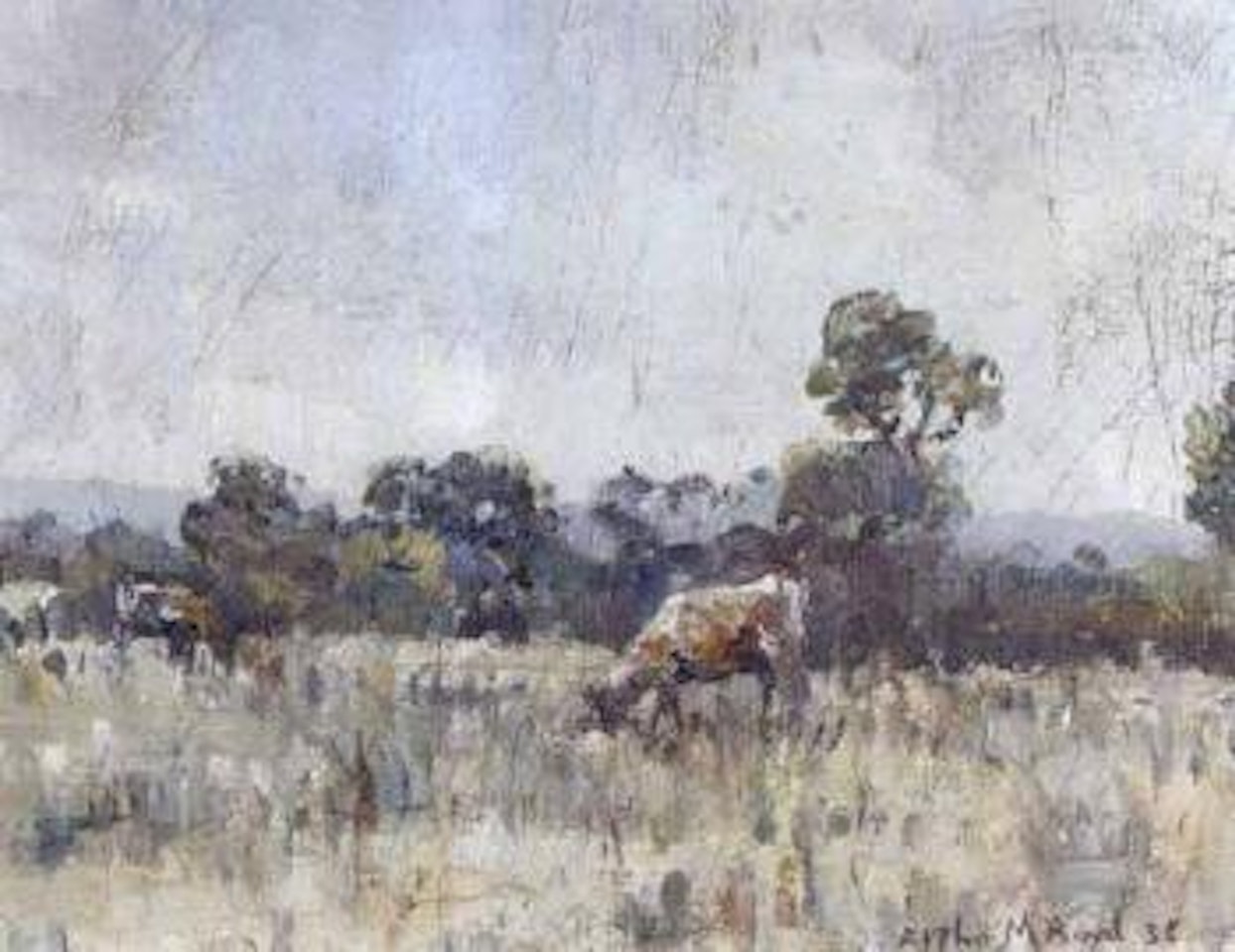 Cattle grazing by Arthur Merric Bloomfield Boyd