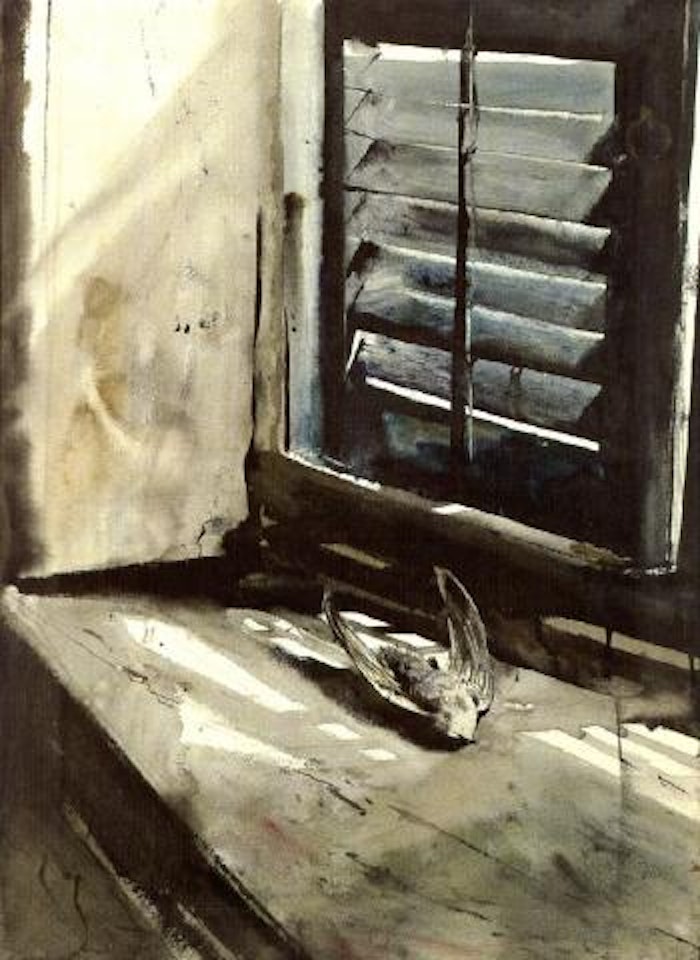 Chimney swift by Andrew Wyeth