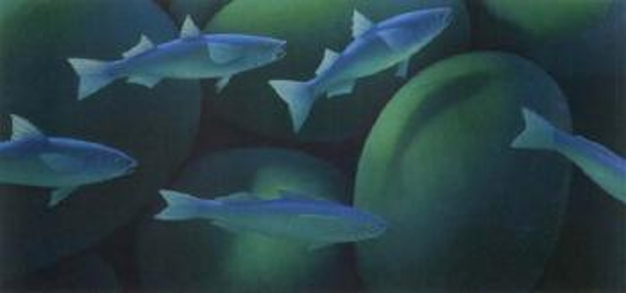 Fishes by Michael Smither