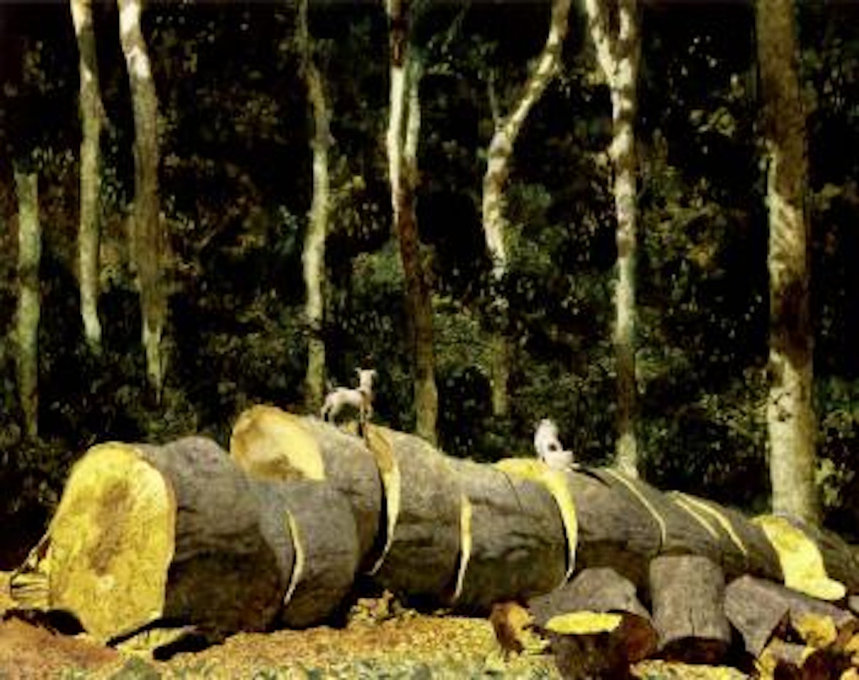 Dozer and egg by James Brown Wyeth