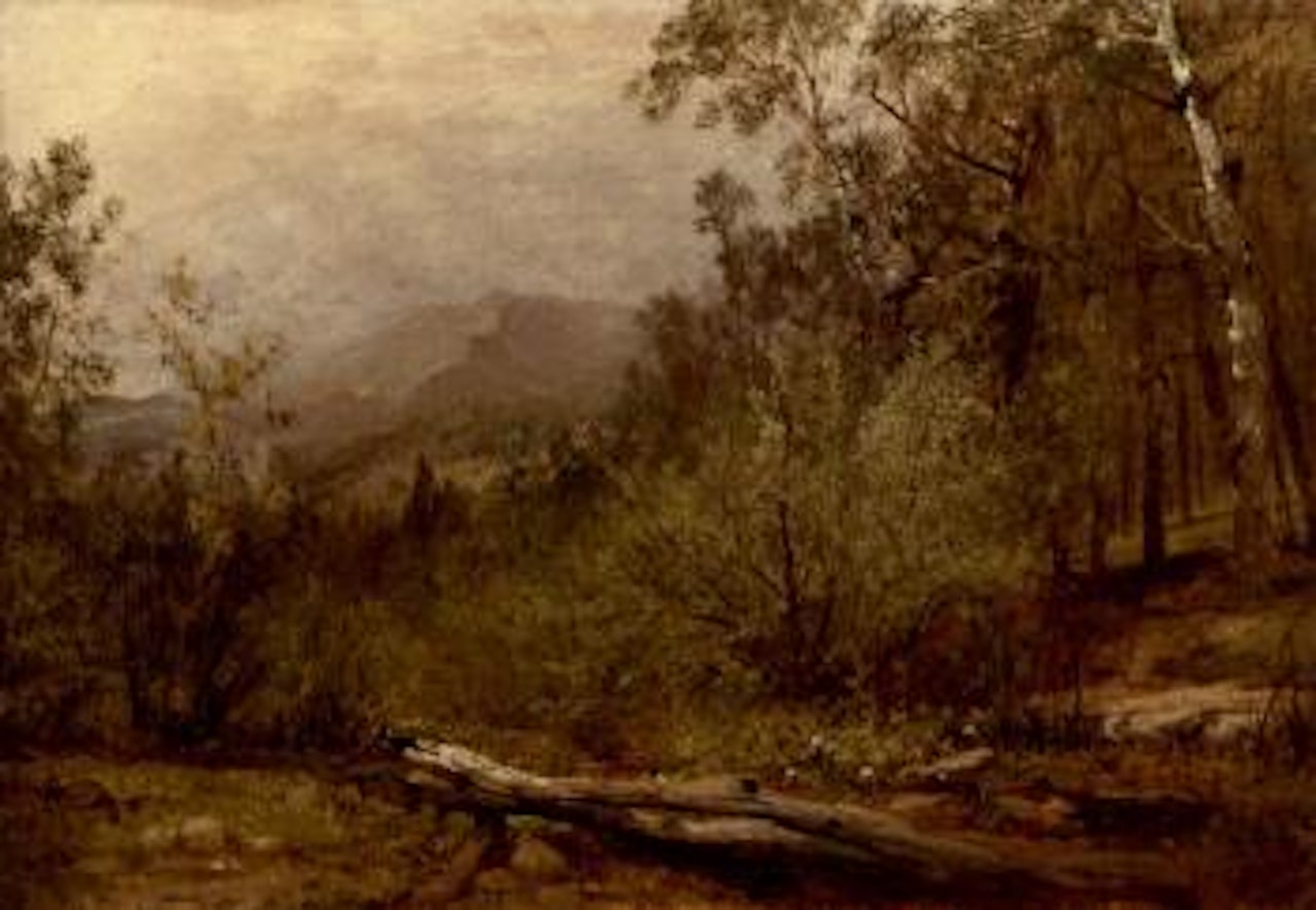 Trotter's spring, Colorado by John Frederick Kensett