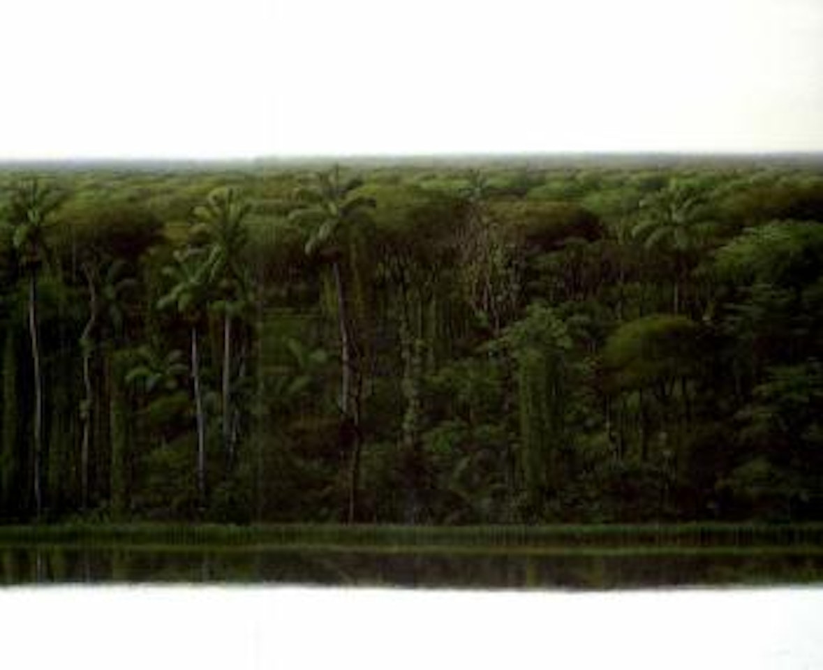 Riverbank by Tomas Sanchez