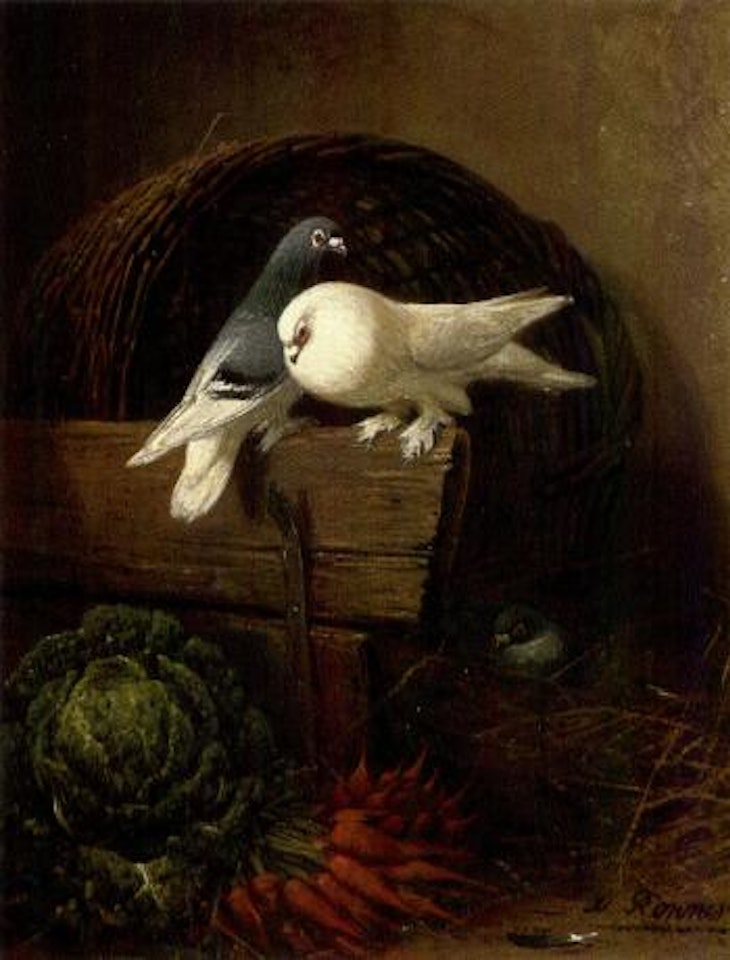 Duiven in een stalhock - Pigeons in a barn by Henriette Ronner-Knip