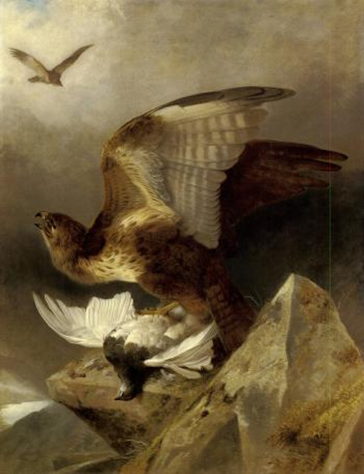 A buzzard with ptarmigan in a highland landscape by Richard Ansdell