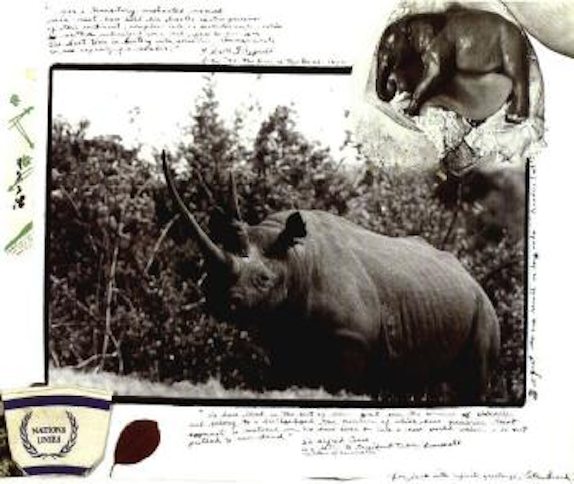 Rhino by Peter Beard