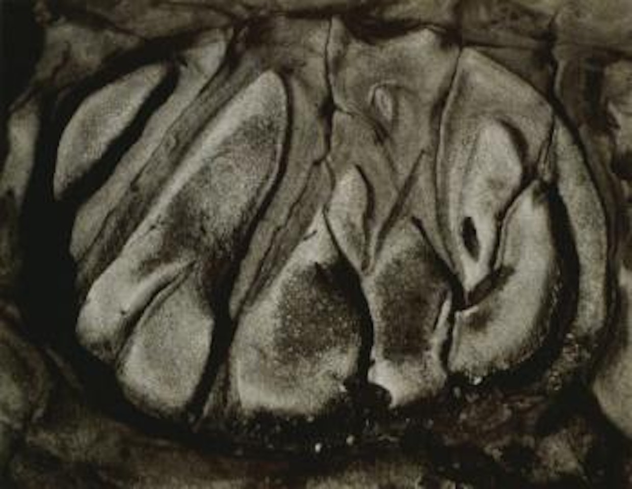 Rock erosion, Point Lobos by Edward Weston