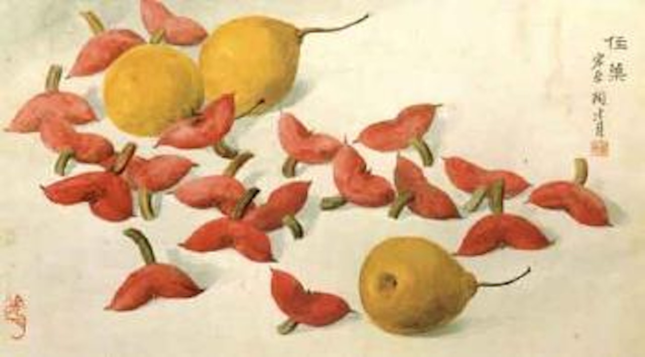 Still life by Lengyue Tao