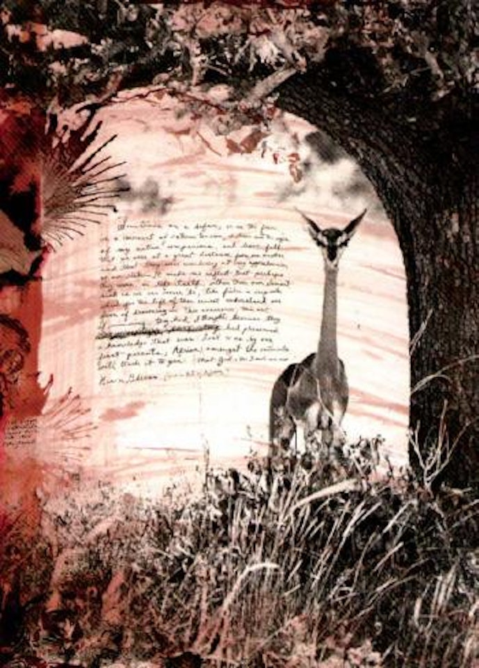 Tiva lugger Kathemula, 1965 by Peter Beard