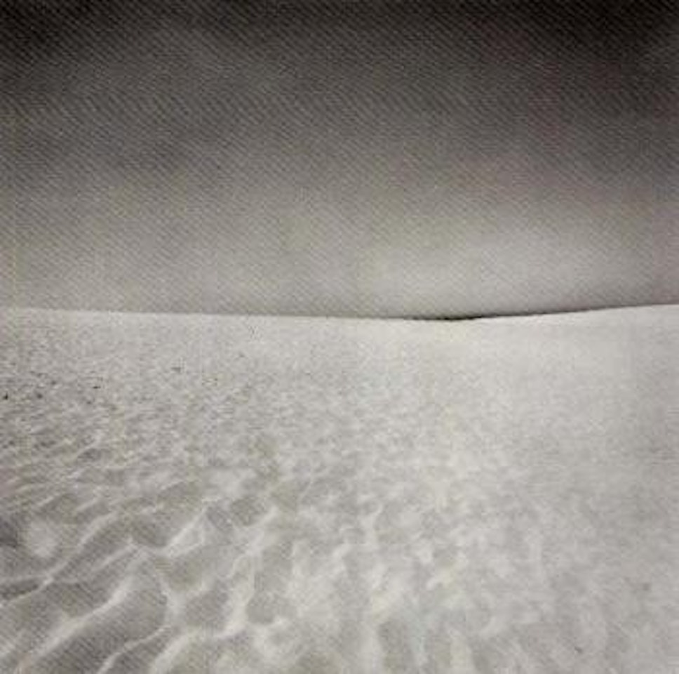 Cape Cod, 1972 by Harry Callahan