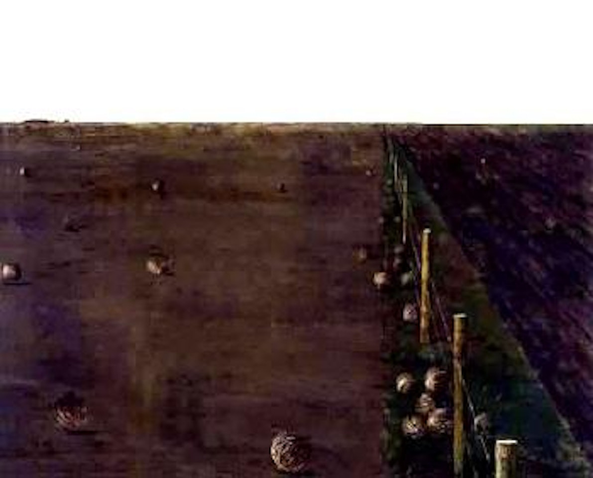 Russian thistles migrating by William Kurelek
