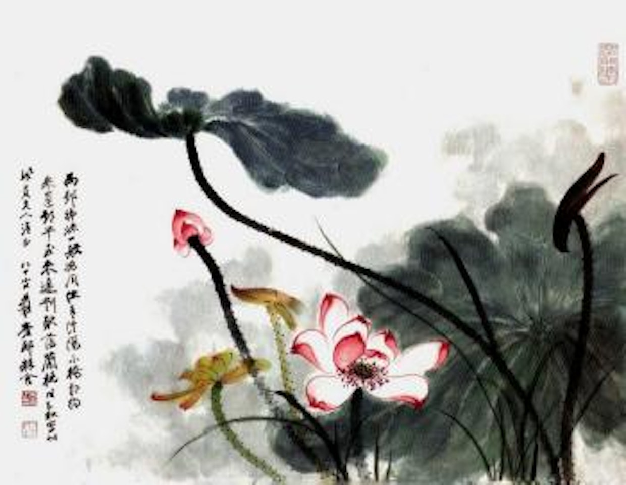 Lotus by Zhang Daqian