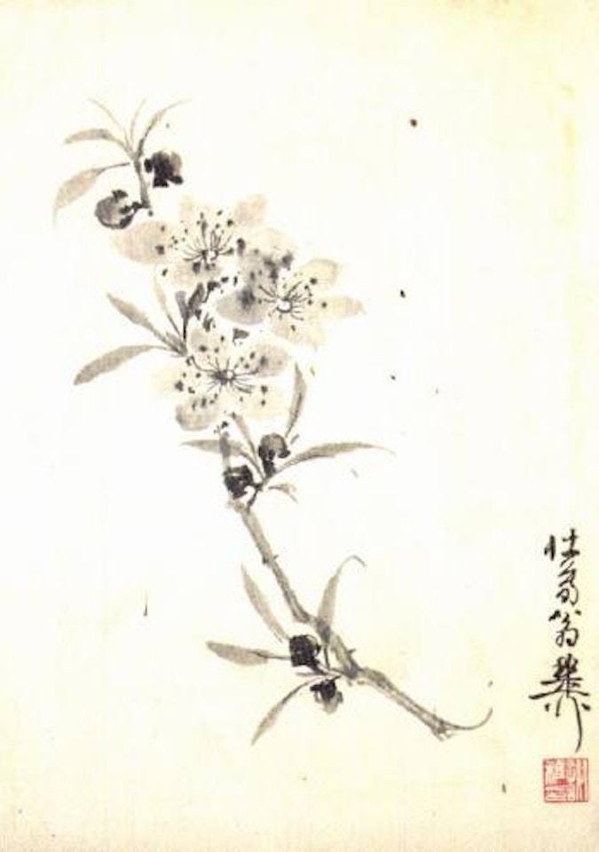 Flowers, pine and rock by Xie Zhiliu