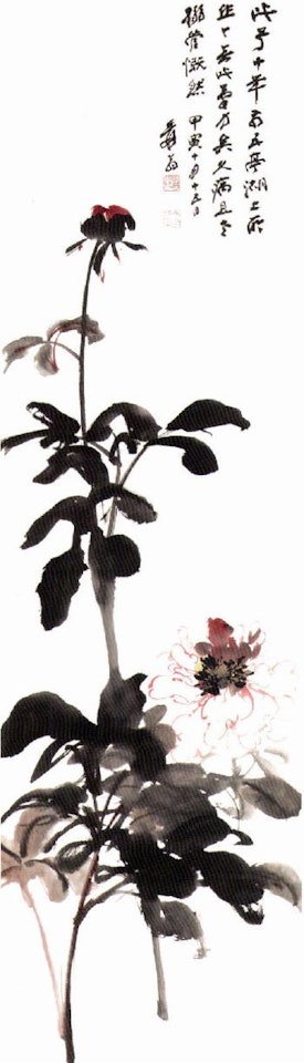 Peony by Zhang Daqian