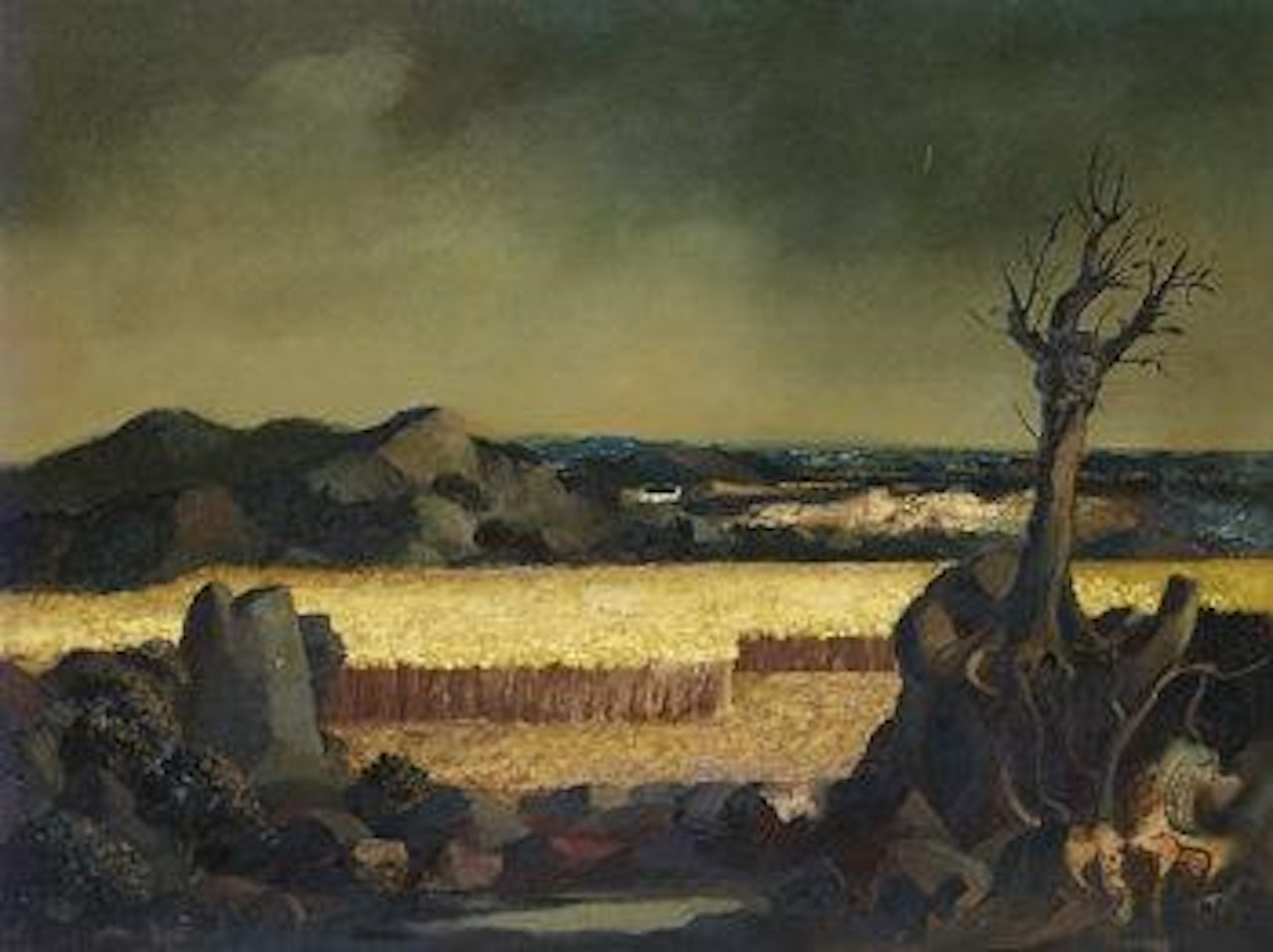 Corn by Daniel O'Neill