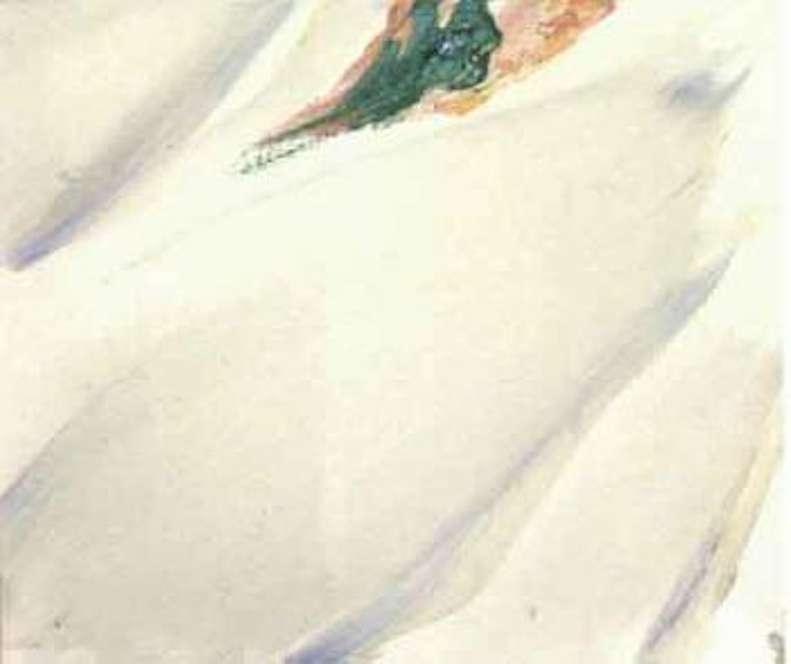 Blanche tache verte by Olivier Debre