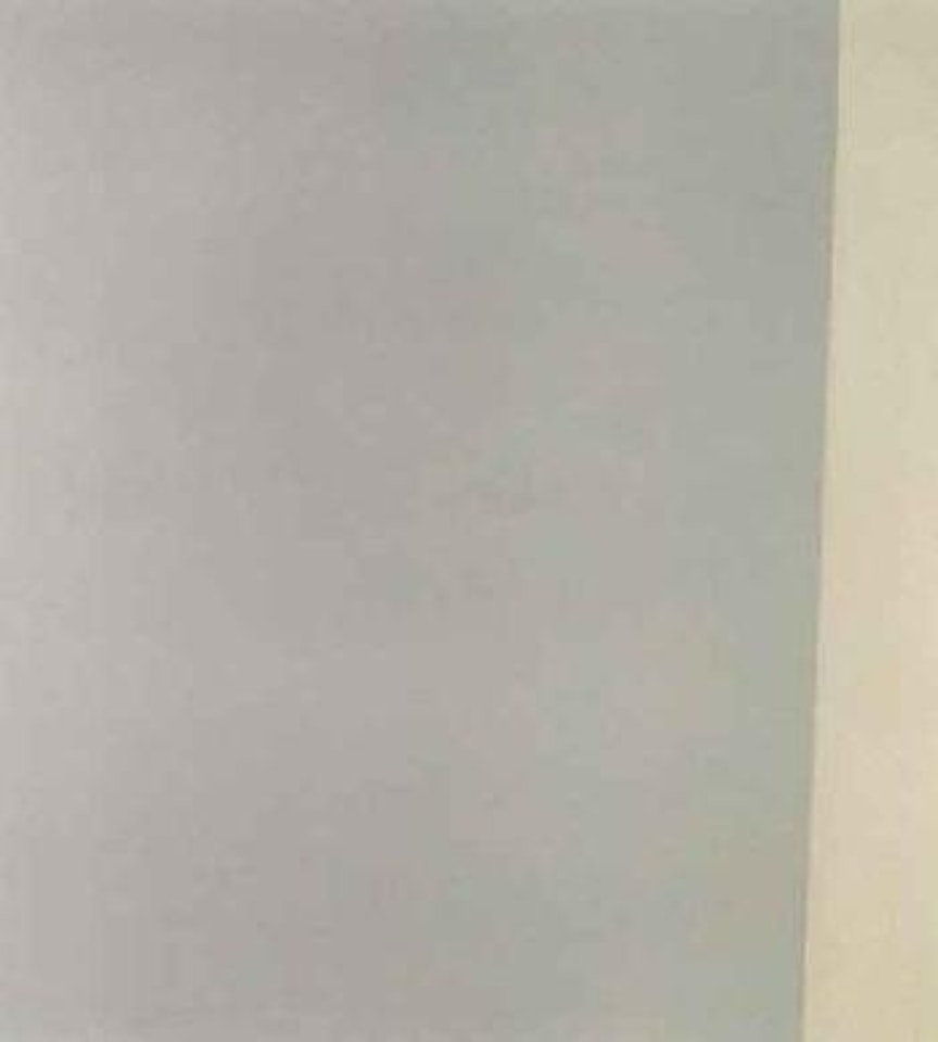 Exposed painted in grey by Callum Innes