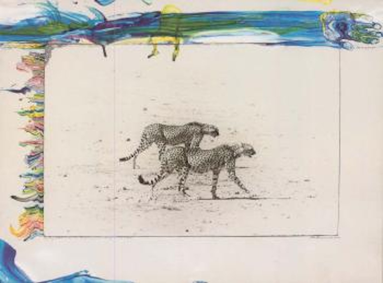 Hunting cheetahs on Tarn Desert, Kenya by Peter Beard