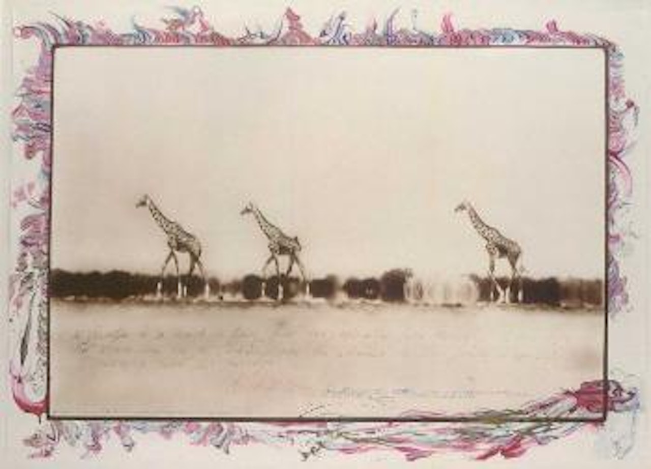 Giraffes in mirage on the Tarn Desert, Kenya by Peter Beard