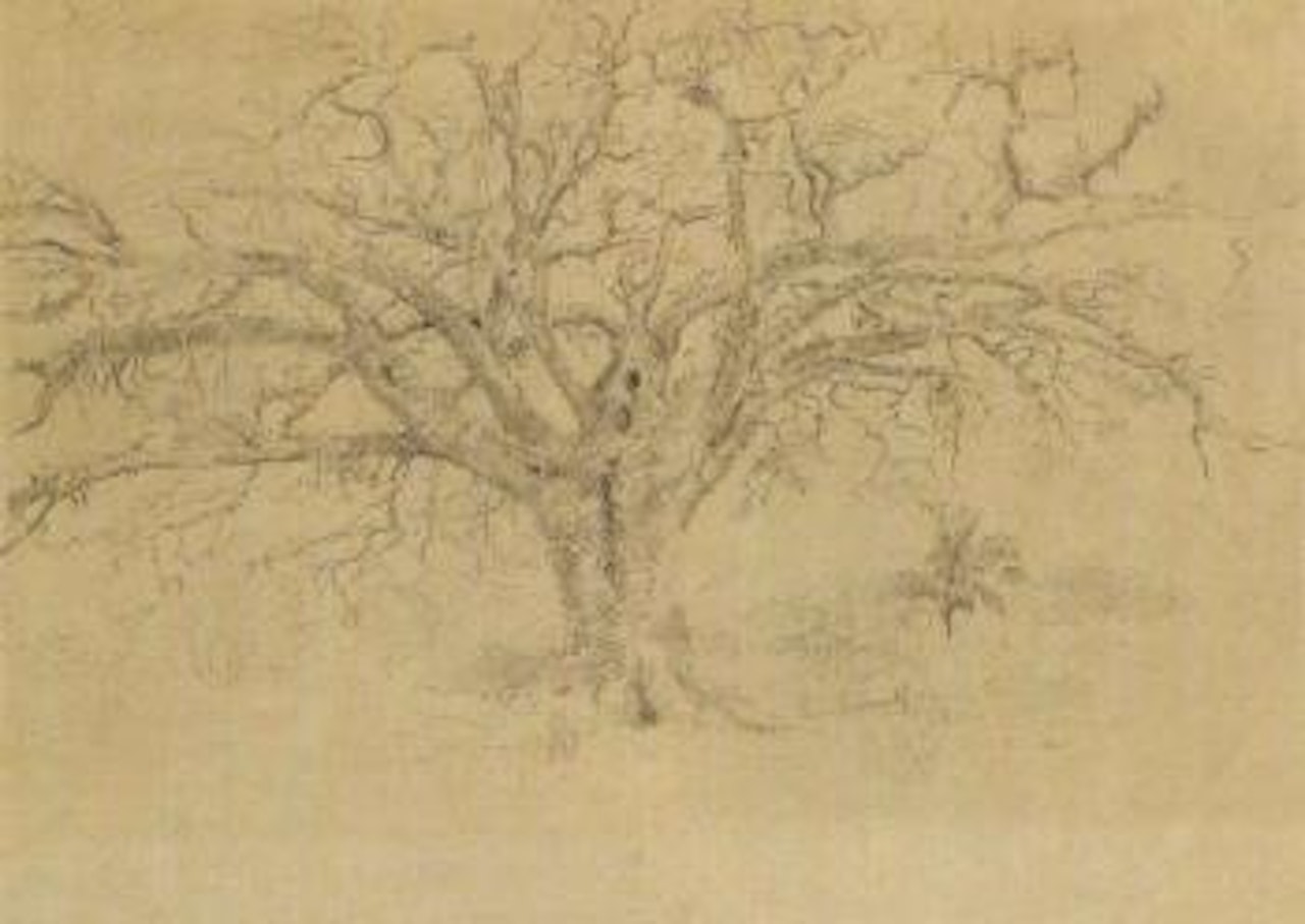 Landscape in Venezuela, saman by Camille Pissarro