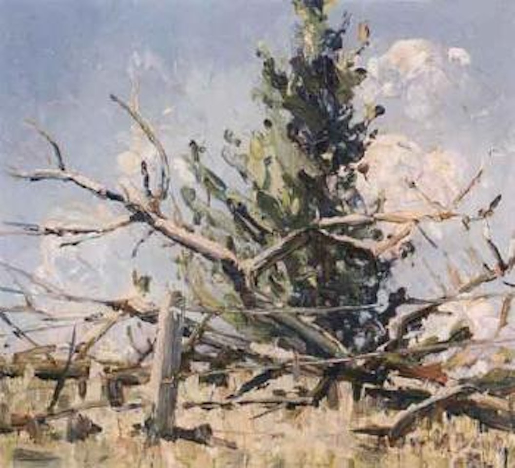 Fallen tree by Arthur Merric Bloomfield Boyd