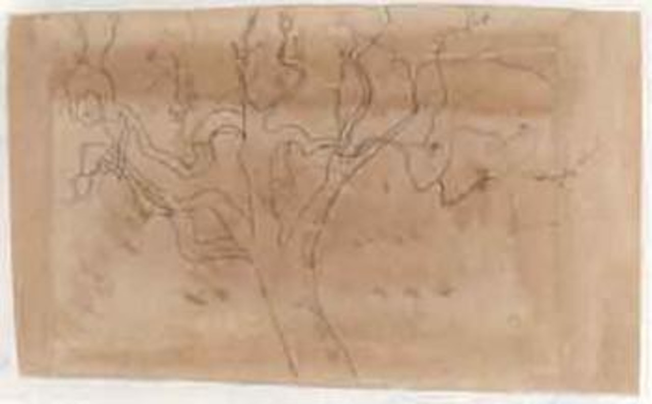 Olive tree by Ben Nicholson, O.M.