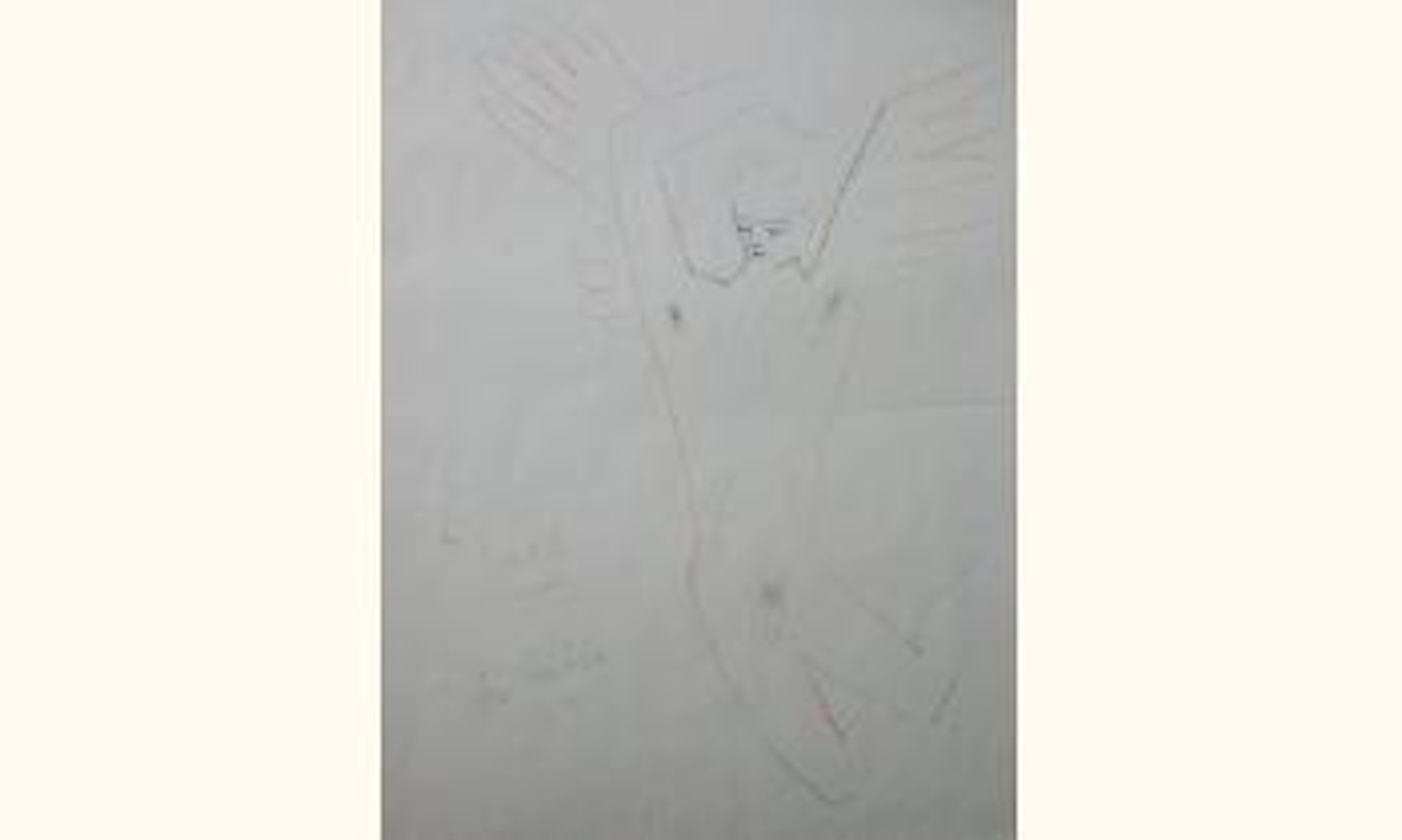 L'ange by Jean Cocteau