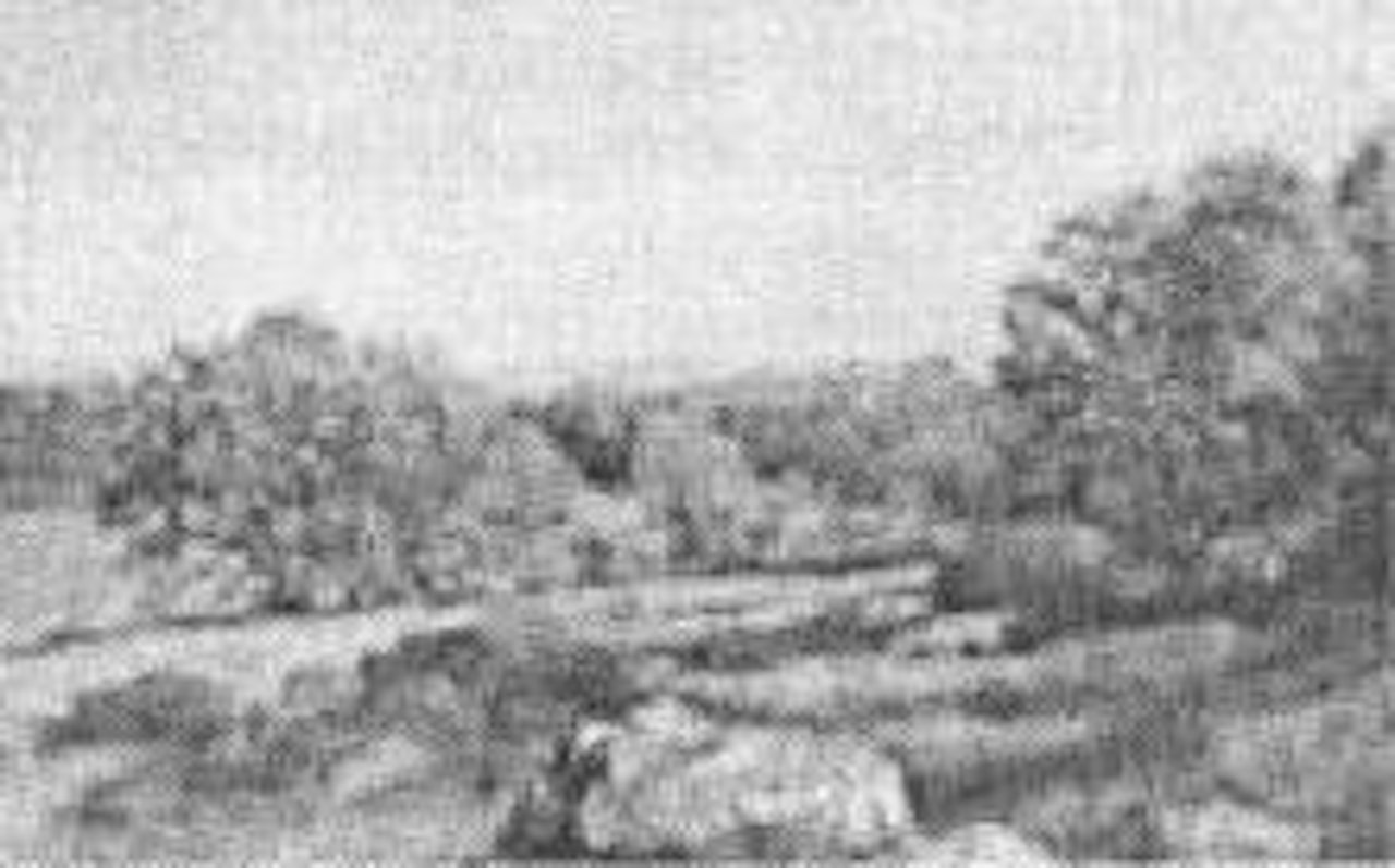 Thyme field and cedar swamp, Matunuck by William Trost Richards
