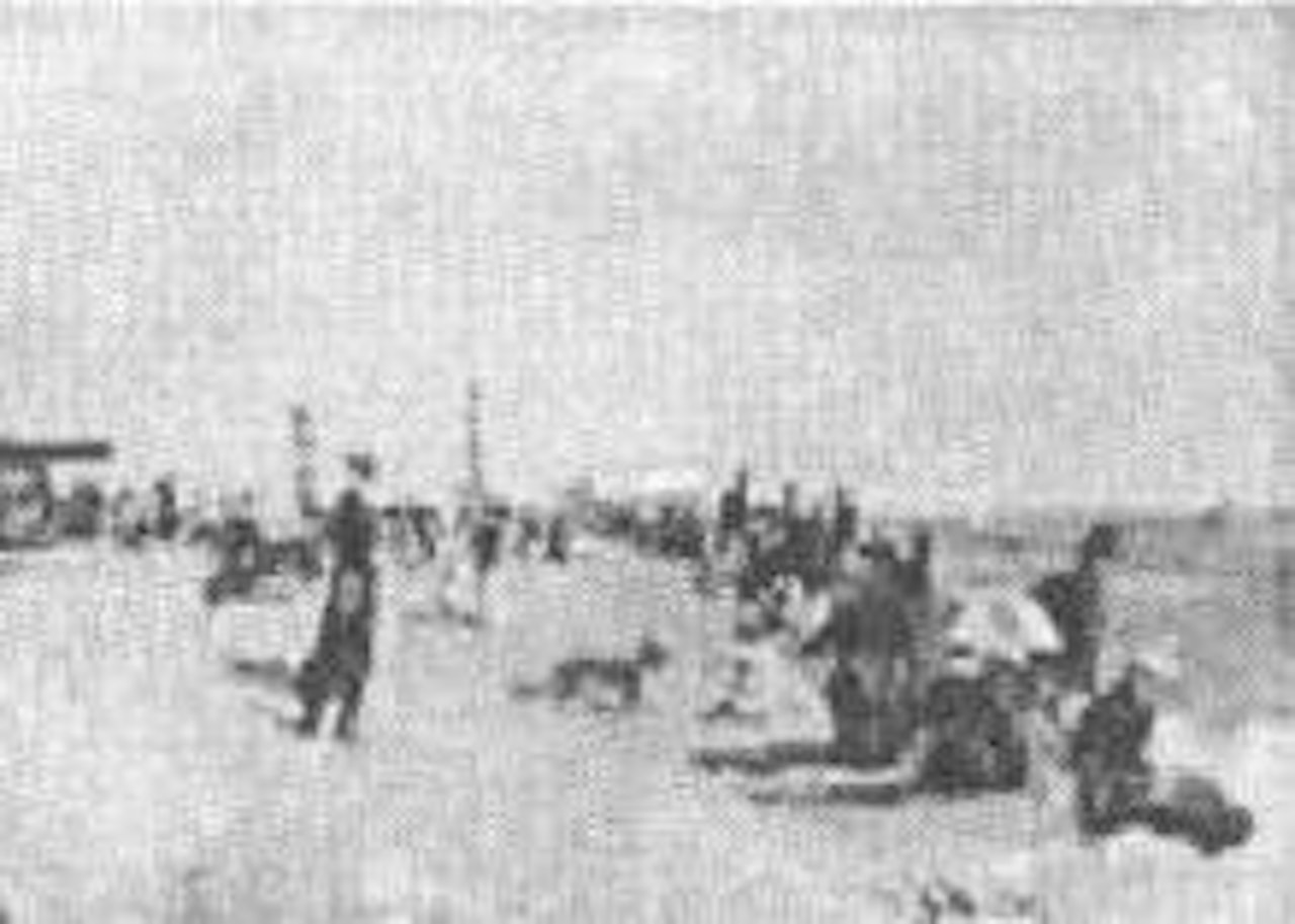 Sur la plage by French School