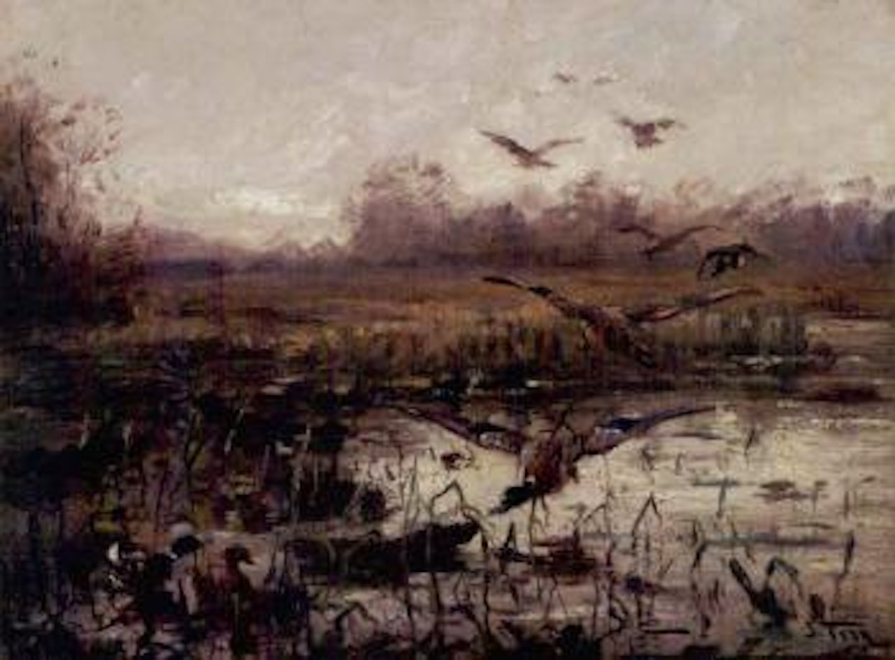Mallards by John Fery