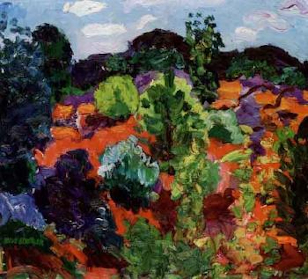 Sunburnt landscape by Inge Schiöler