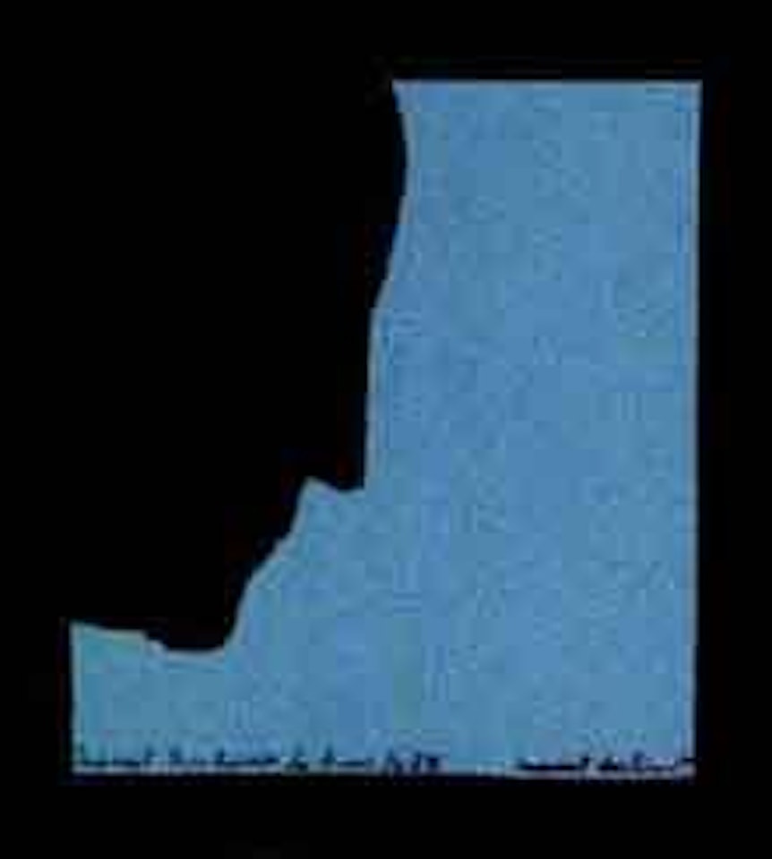 After the Self portrait in profile by Marcel Duchamp