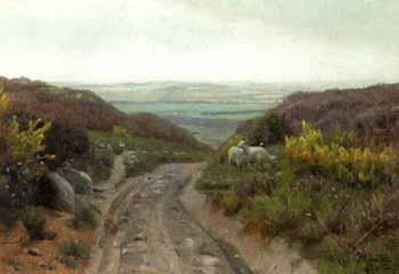 Hilly heather landscape with sheep by Peder Mork Monsted