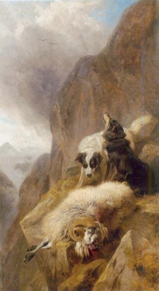 Sheepdogs with a stricken sheep in a mountainous Highland landscape by Richard Ansdell