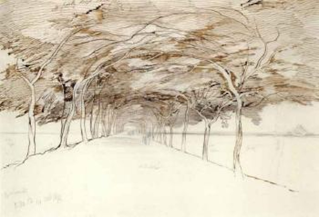 Acacia Avenue, Gizah by Edward Lear
