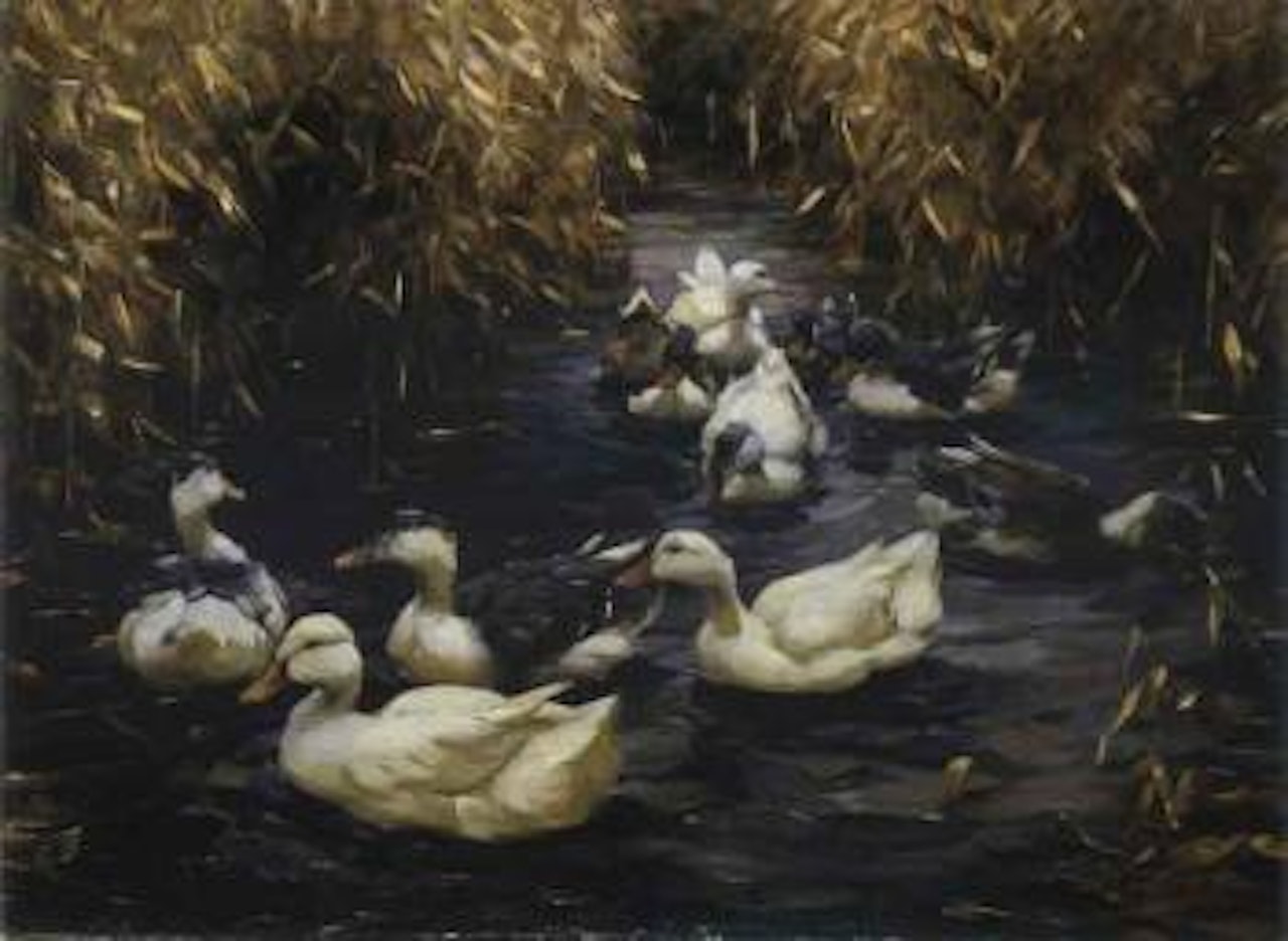 Ten ducks in autumn reeds by Alexander Koester