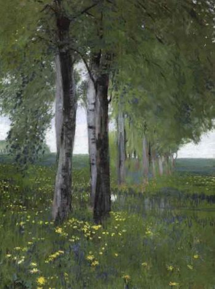 In May by Hans am Ende