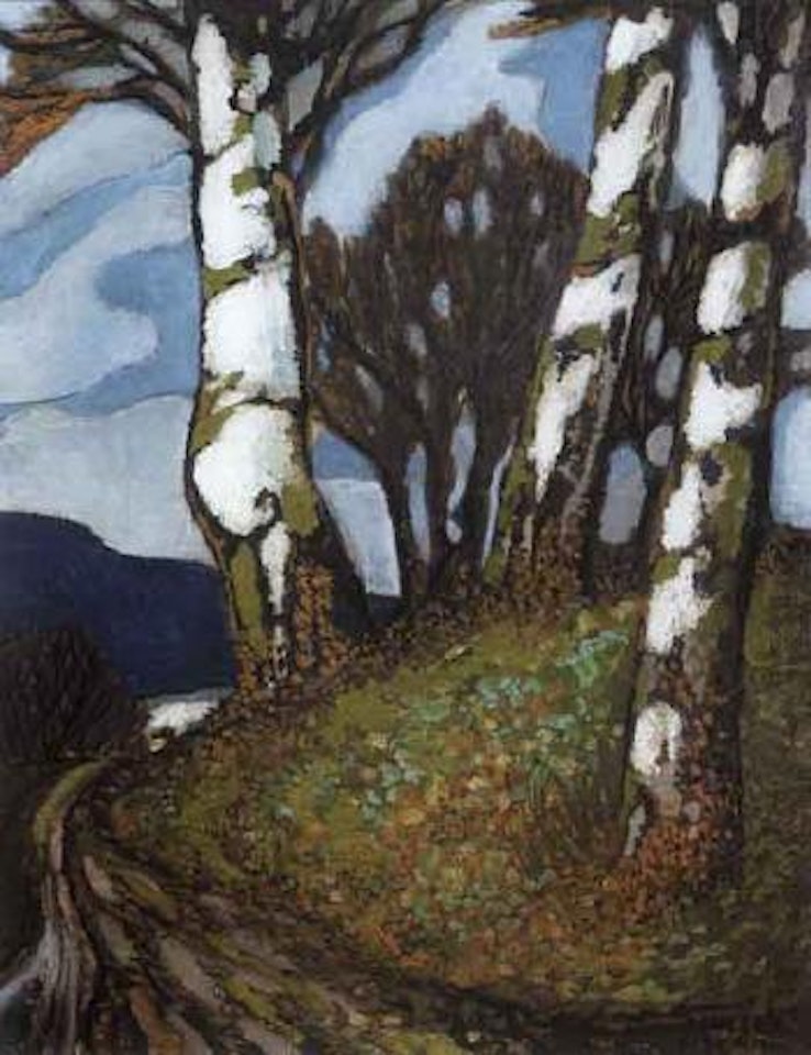 Birch trees by Oskar Mulley
