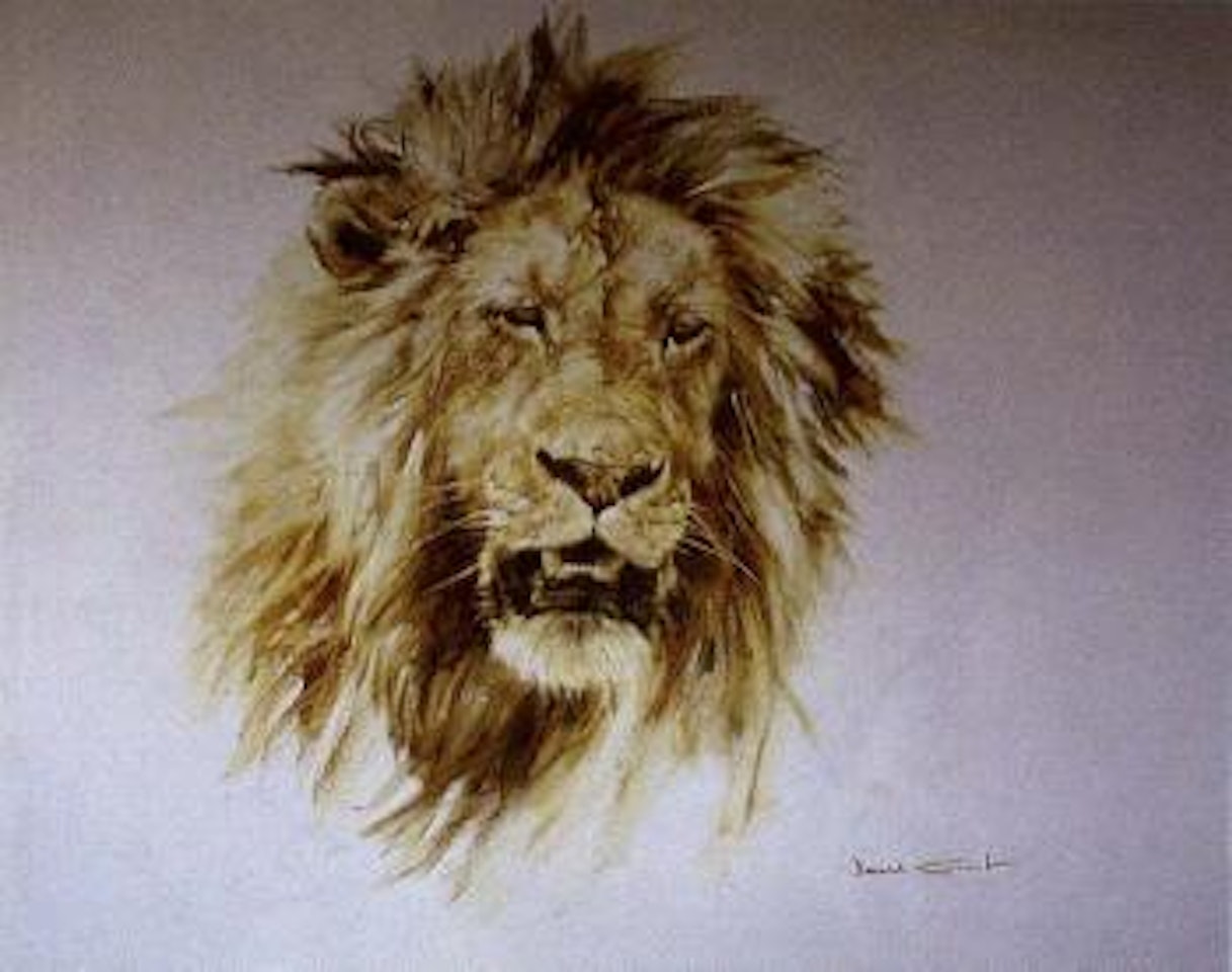 Lion's head by Donald Grant