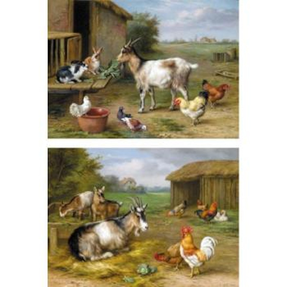 Feeding time by Edgar Hunt