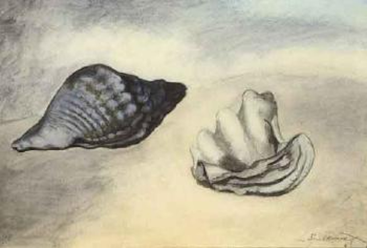 Shells by Léon Spilliaert