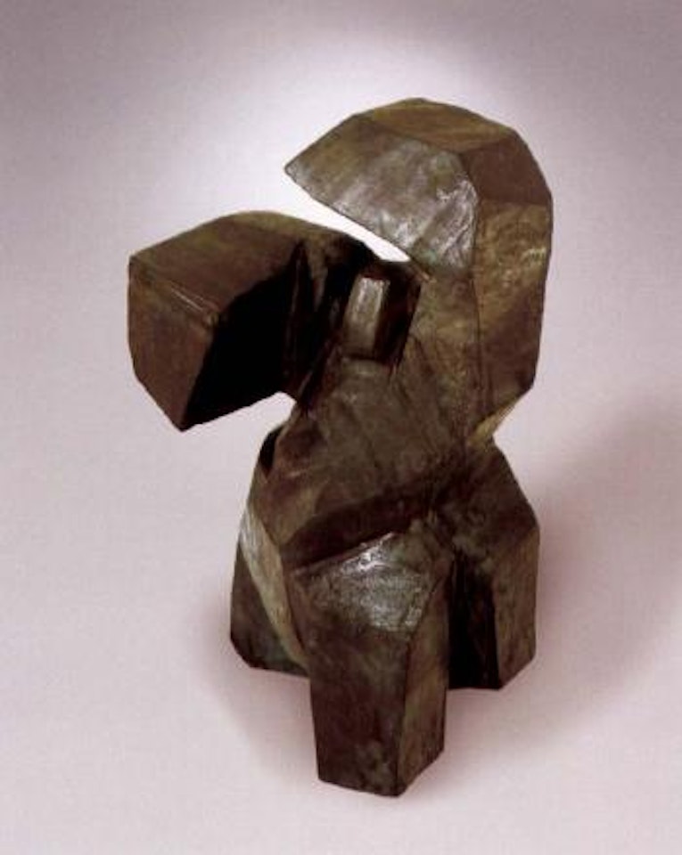 Shoulder through arm, Taiji series by Ju Ming