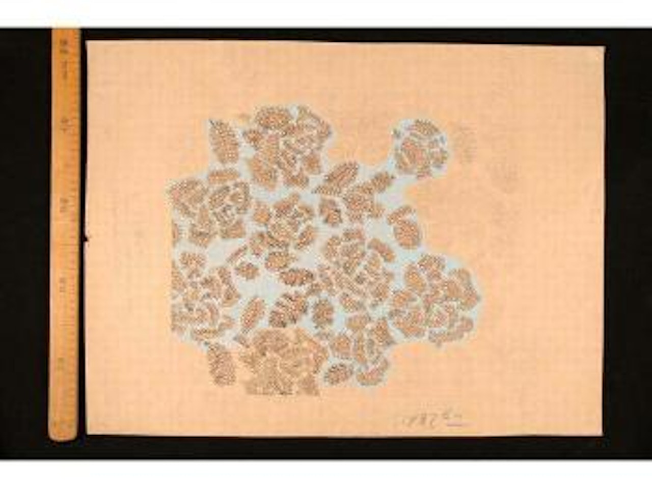 Jete de roses stylisees by Raoul Dufy