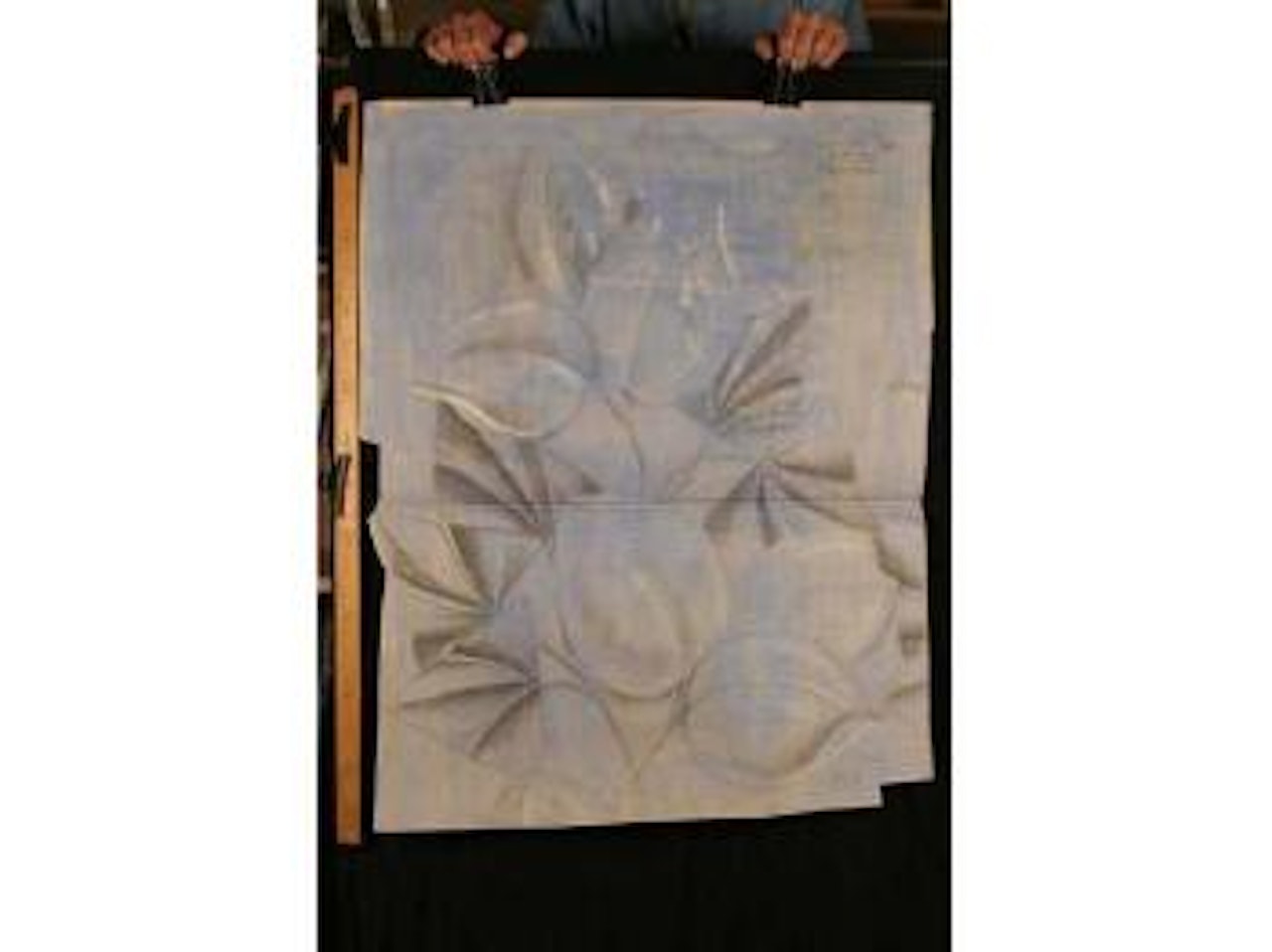 Composition vegetale by Raoul Dufy